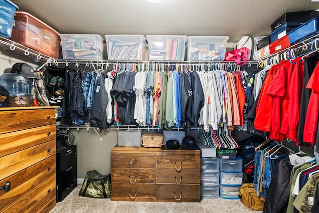 7867 Blanchard Loop, West Richland, WA 99353 - walk in closet with carpet