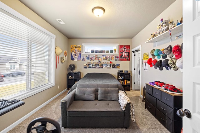 7867 Blanchard Loop, West Richland, WA 99353 - bedroom with carpet