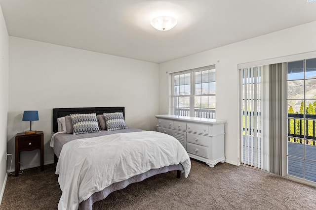 1348 Rohman Dr, Prosser, WA 99350 - bedroom with dark colored carpet and access to exterior