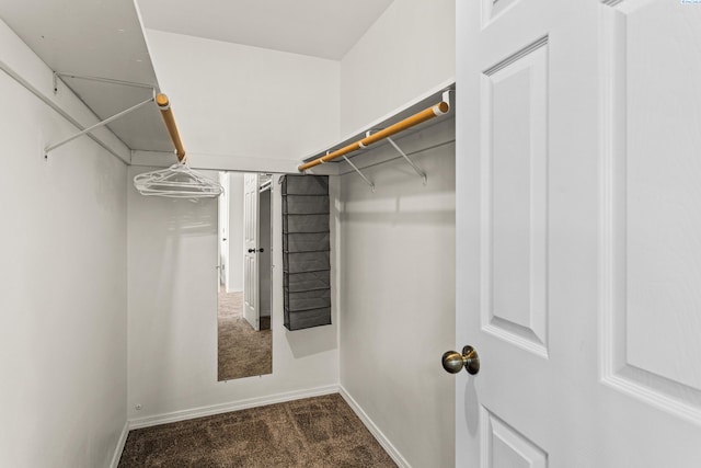 1348 Rohman Dr, Prosser, WA 99350 - spacious closet featuring carpet floors