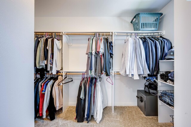 930 SW Finch Way, Pullman, WA 99163 - walk in closet with carpet
