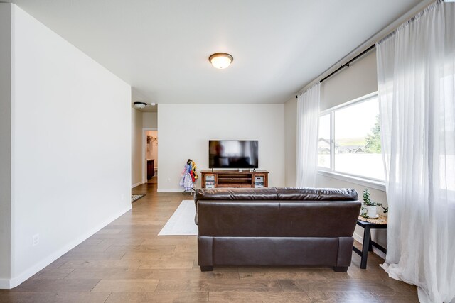 930 SW Finch Way, Pullman, WA 99163 - living area featuring baseboards and wood finished floors
