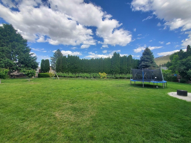 7218 W 15th Ave, Kennewick, WA 99336 - view of green lawn featuring a trampoline