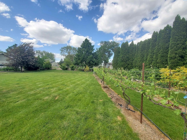 7218 W 15th Ave, Kennewick, WA 99336 - view of grassy yard