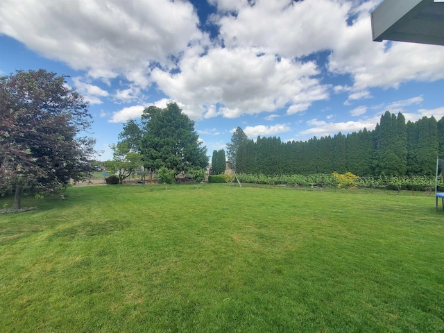 7218 W 15th Ave, Kennewick, WA 99336 - view of green lawn