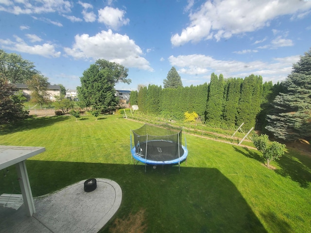 7218 W 15th Ave, Kennewick, WA 99336 - view of green lawn featuring a trampoline