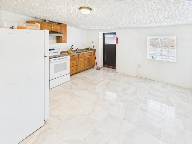 304 S Naches Ave, Wapato, WA 98951 - photo 16