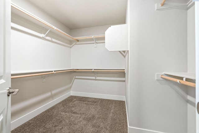 10402 Kokanee Dr, Pasco, WA 99301 - spacious closet featuring carpet