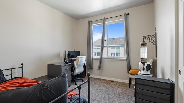589 S Quillan Pl, Kennewick, WA 99336 - photo 19