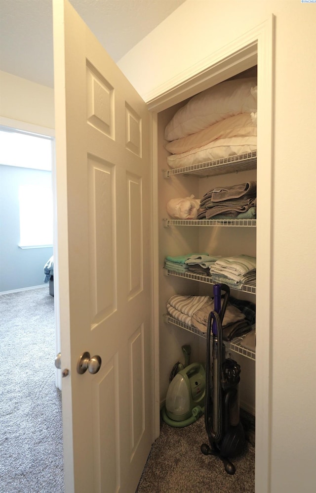1185 SW Lost Trail Dr, Pullman, WA 99163 - photo 33