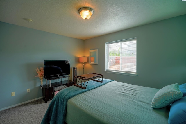 1185 SW Lost Trail Dr, Pullman, WA 99163 - photo 26