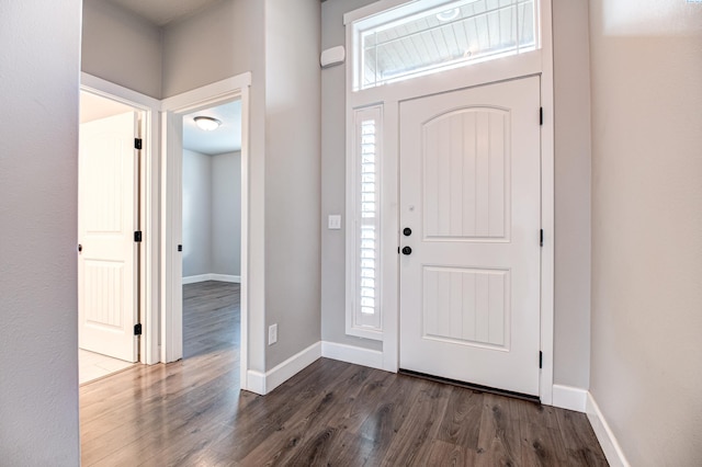 foyer entrance with dark hardwood / wood-style floors and a wealth of natural light