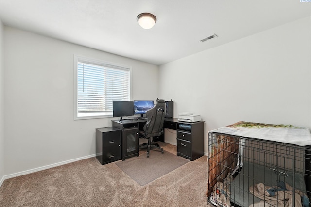 6412 Robinson Dr, Pasco, WA 99301 - photo 13