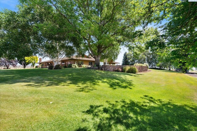 170732 Olsen Rd, Grandview, WA 98930 - view of grassy yard