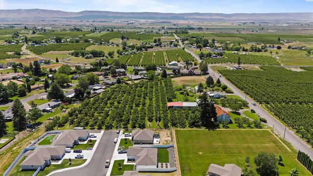 600 Lizzy Ln, Grandview, WA 98930 - birds eye view of property featuring a mountain view