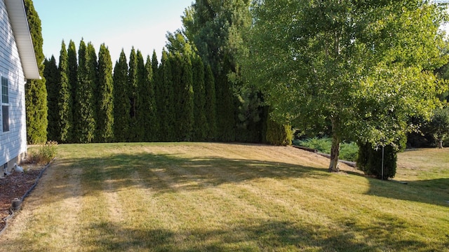 470 NW Robert St, Pullman, WA 99163 - view of grassy yard