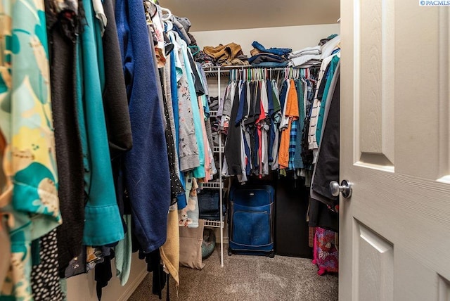 5309 Buchanan Ln, Pasco, WA 99301 - walk in closet with carpet flooring