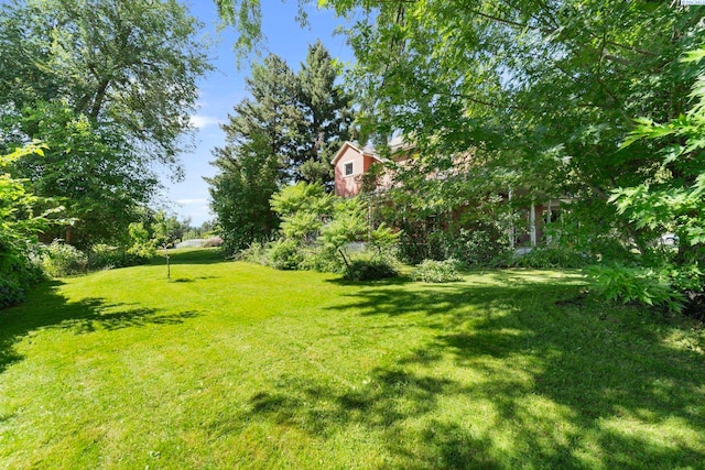 1002 Sherman Ave, Prosser, WA 99350 - view of green lawn