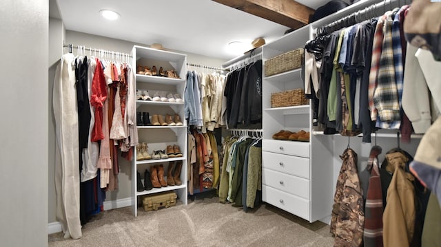 walk in closet with carpet floors