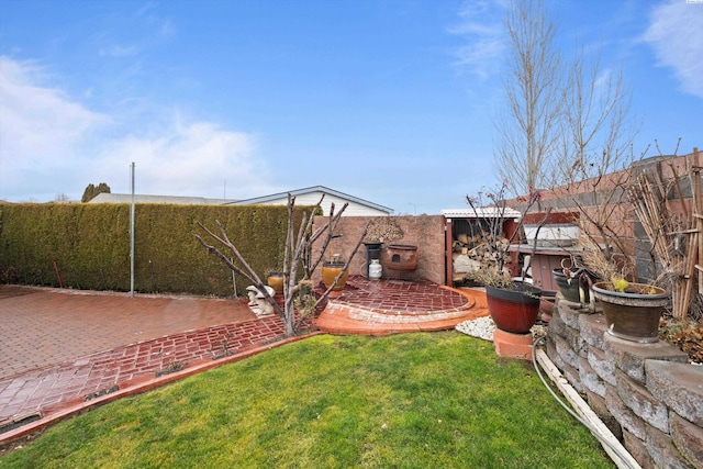 view of yard featuring a patio area