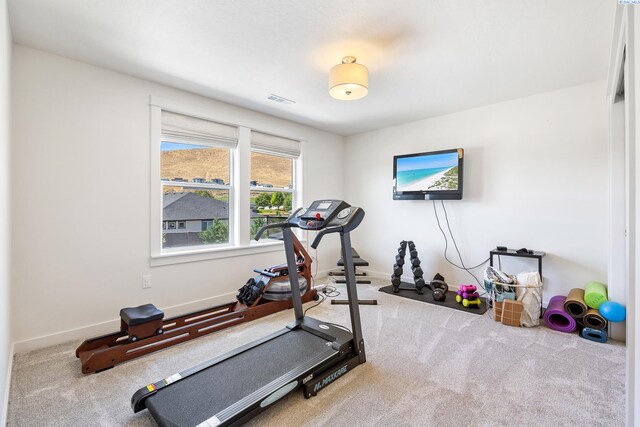 3842 Curtis Dr, West Richland, WA 99353 - photo 22