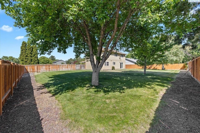 5001 E Killdeer Ct, West Richland, WA 99353 - view of yard