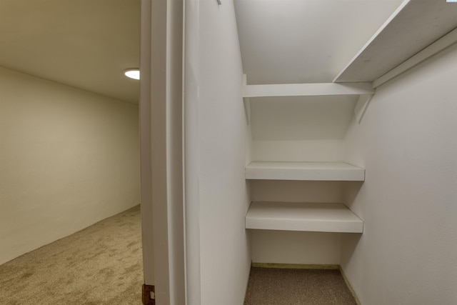 spacious closet with light colored carpet