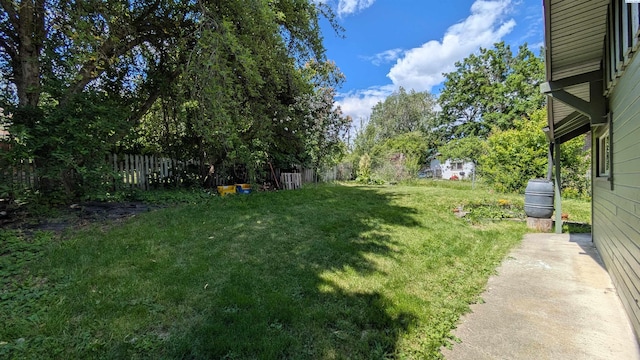 535 SE Side St, Pullman, WA 99163 - view of yard