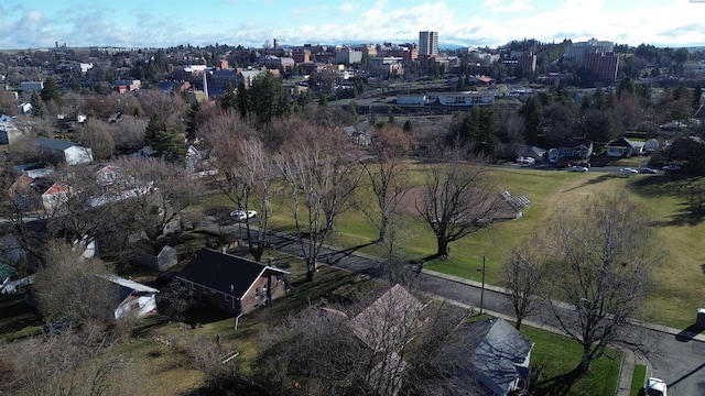 535 SE Side St, Pullman, WA 99163 - aerial view of property's location