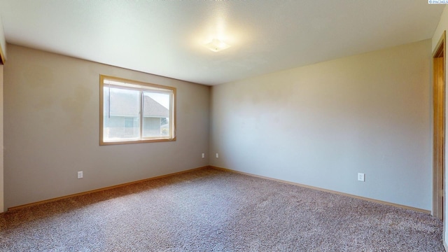 8411 Packard Dr, Pasco, WA 99301 - photo 11