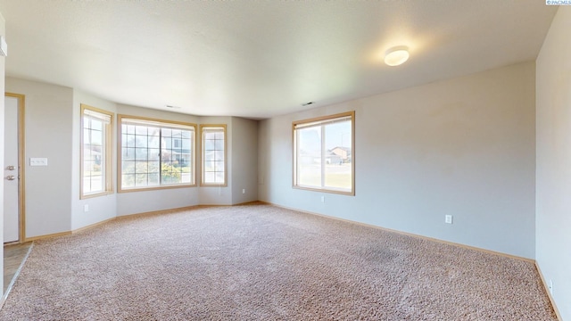 8411 Packard Dr, Pasco, WA 99301 - photo 3