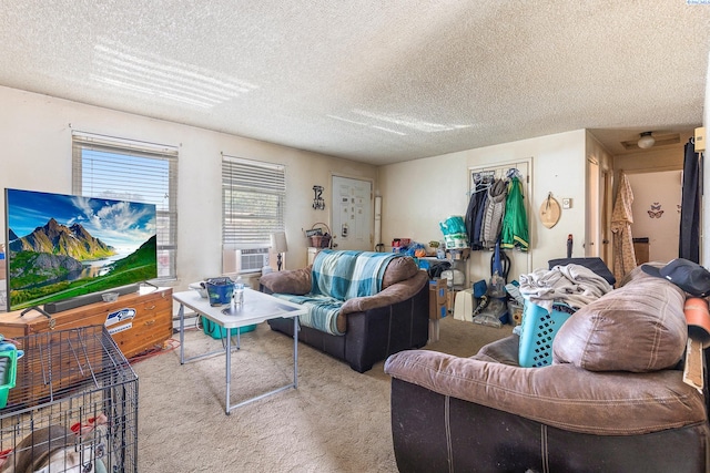 3604 W 5th Ct, Kennewick, WA 99336 - photo 6
