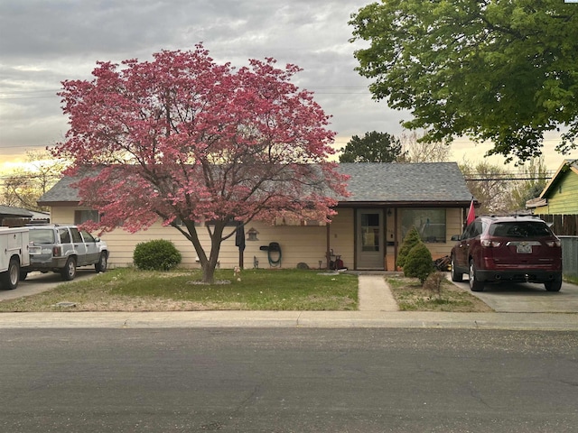 view of front facade with a lawn