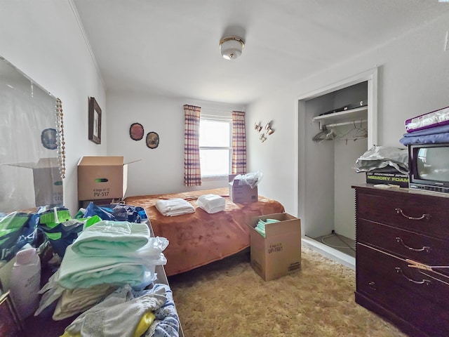905 Chestnut Ave, Richland, WA 99352 - photo 9