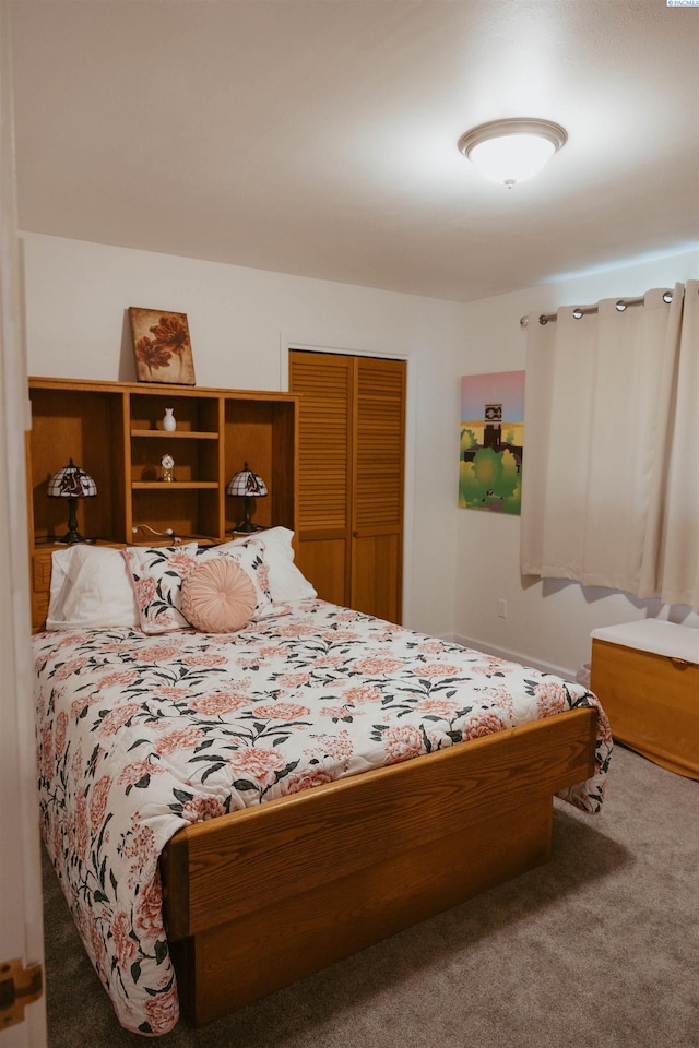 bedroom featuring carpet and a closet