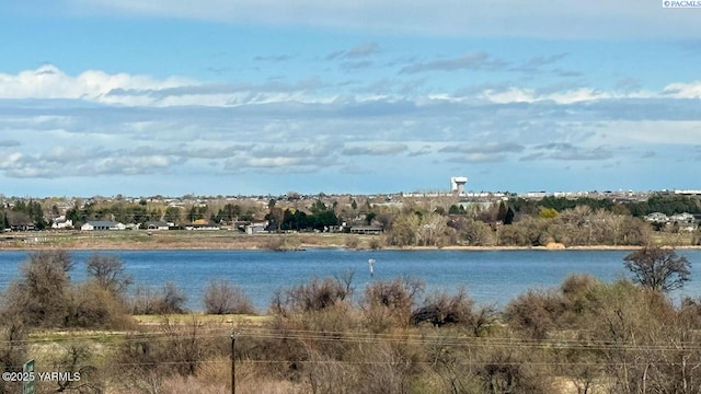 6416 W Arrowhead Ave, Kennewick, WA 99336 - photo 47