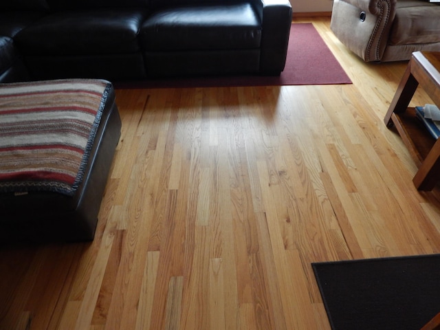 living room featuring wood finished floors