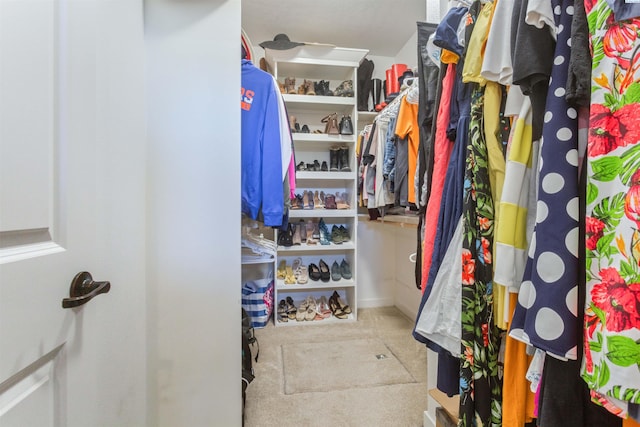 view of spacious closet