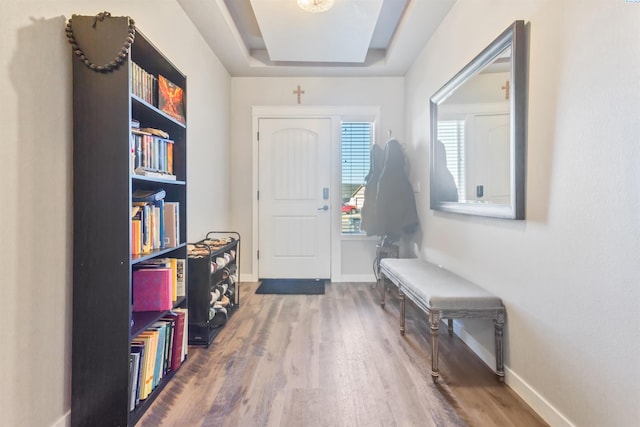 foyer with baseboards, a tray ceiling, and wood finished floors