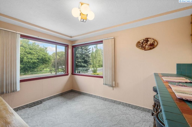 115 N Montgomery St, Uniontown, WA 99179 - interior space featuring carpet floors, baseboards, and a textured ceiling