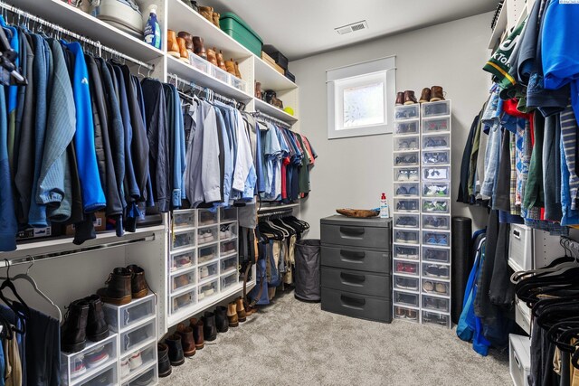 1430 Purple Sage St, Richland, WA 99352 - walk in closet with carpet flooring