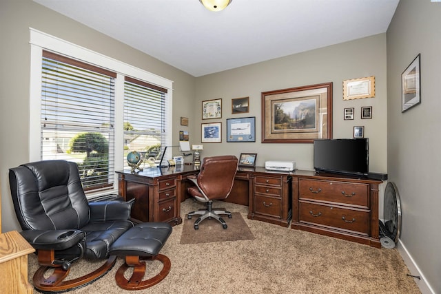 4802 Meadow View Dr, Pasco, WA 99301 - photo 20