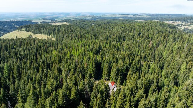 9400 Lewis Peak Rd, Waitsburg, WA 99329 - photo 36