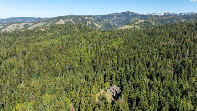 9400 Lewis Peak Rd, Waitsburg, WA 99329 - photo 35