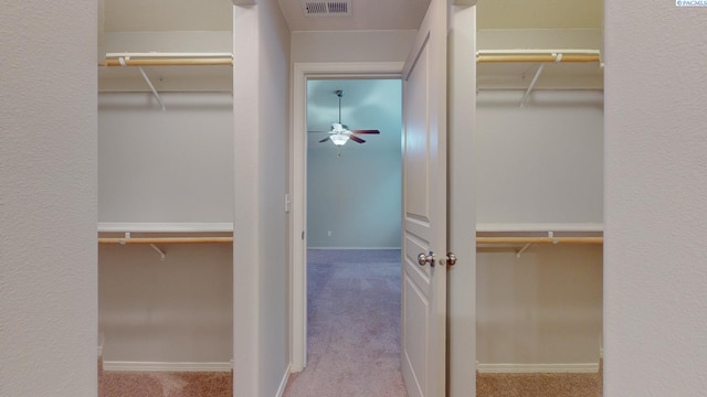 spacious closet with light colored carpet