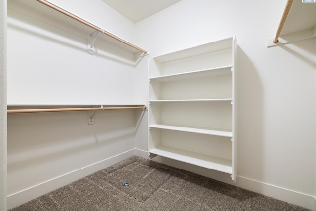 8717 Ashen Dr, Pasco, WA 99301 - spacious closet featuring dark carpet