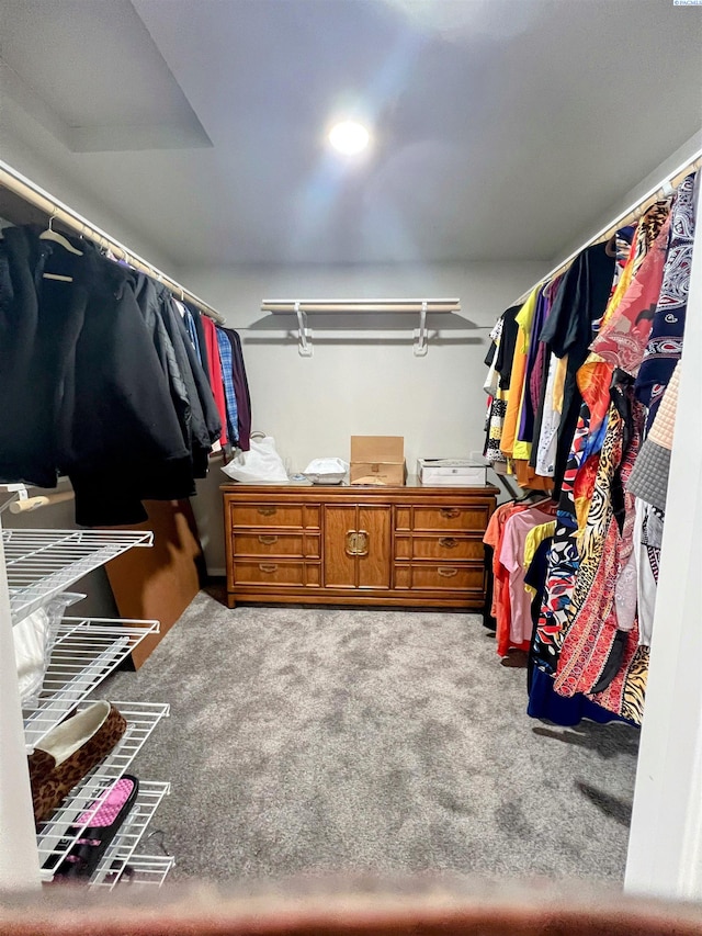 1836 W Park St, Pasco, WA 99301 - walk in closet with carpet flooring