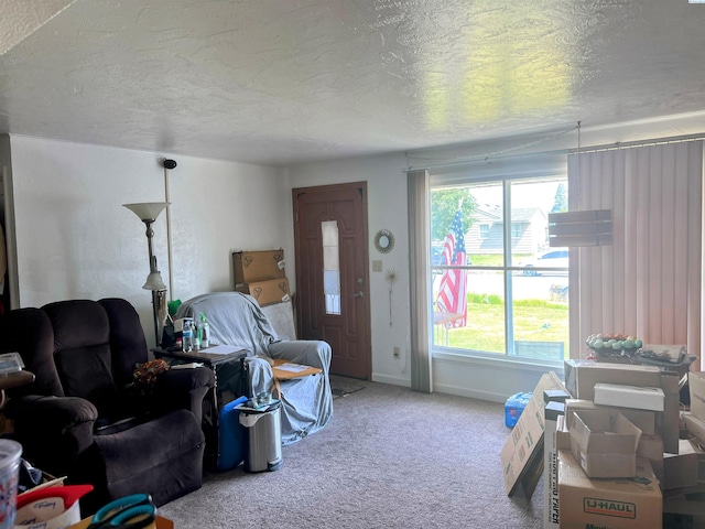 1836 W Park St, Pasco, WA 99301 - living area featuring a textured ceiling and carpet floors