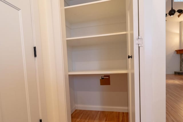 1205 SW Hannah St, Pullman, WA 99163 - view of closet
