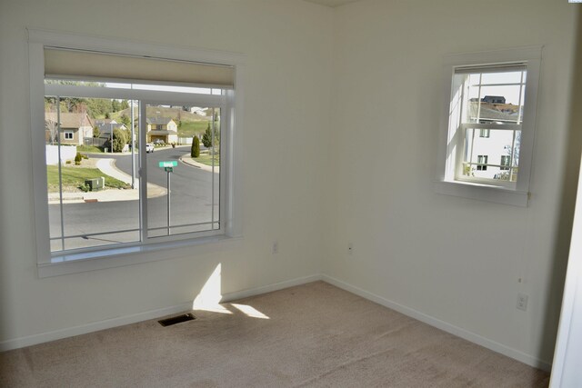 1205 SW Hannah St, Pullman, WA 99163 - unfurnished room with baseboards, a wealth of natural light, carpet, and visible vents